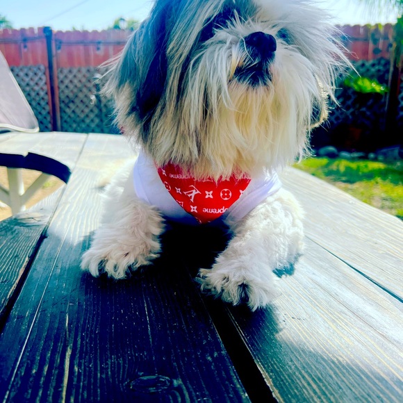 I make custom shirts with any logo and bandanna and bow what ever style u feel